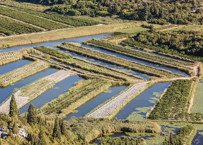 Gorgeous In Rogotin-ploce With Wifi